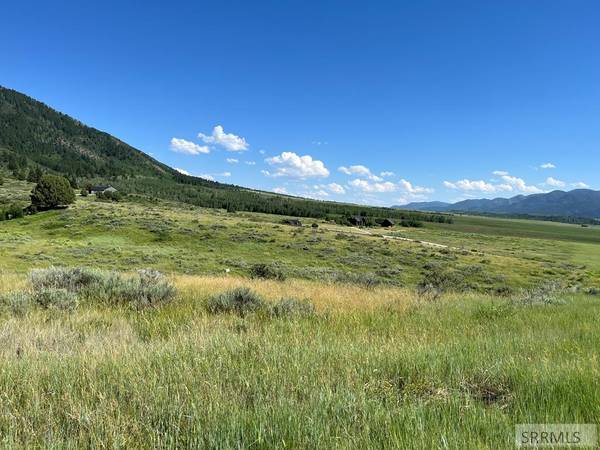 Lot 17 Bull Elk Drive, Swan Valley, ID 83449