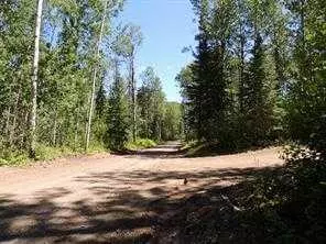 Rural Grande Prairie No. 1 County Of, AB T0H 1J0,Lot #49 Wapiti River SW-21-69-10-W6