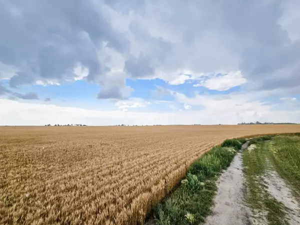 Rural Stettler No. 6 County Of, AB T0C 2L0,174 Range Road