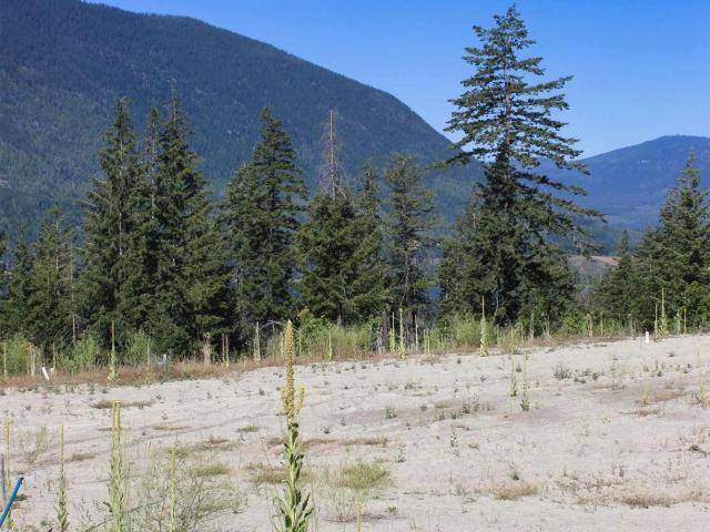South Shuswap, BC V0E 2X1,11 3648 BRAELYN ROAD