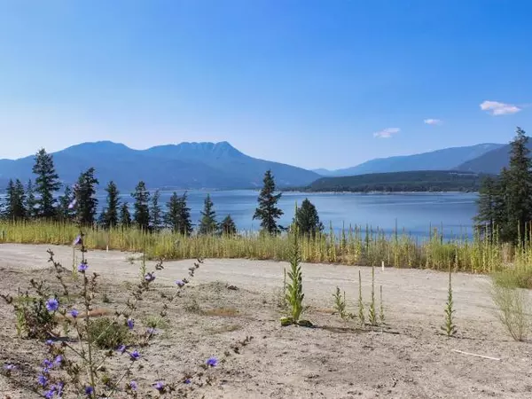 South Shuswap, BC V0E 2X1,9 3648 BRAELYN ROAD