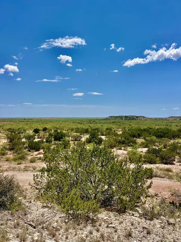 TBD Juniper Rd, Bronte, TX 76933