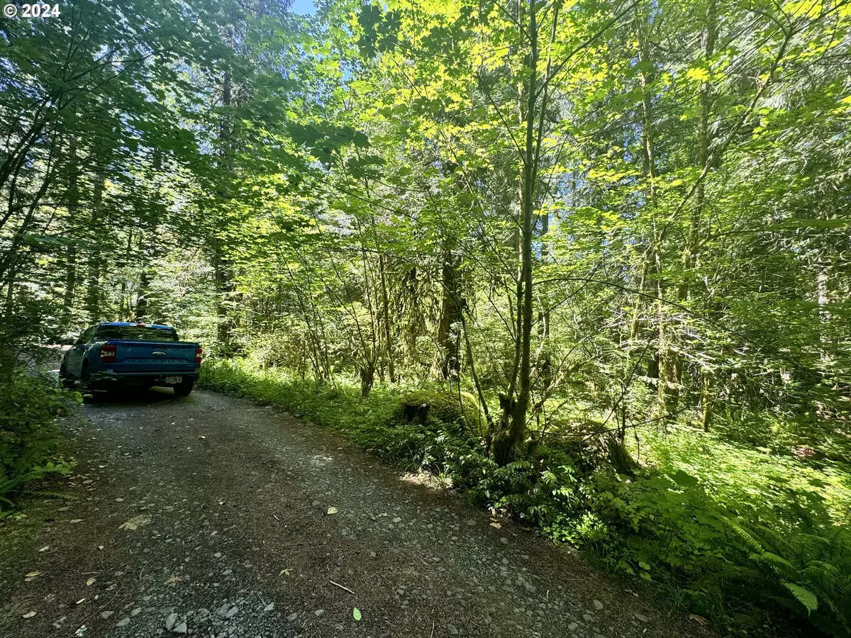 Rhododendron, OR 97049,E Section Line Rd