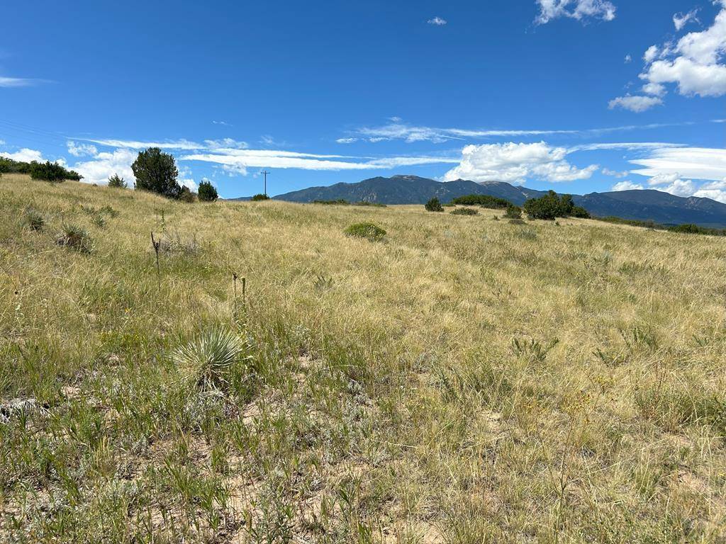 Colorado City, CO 81019,Lot 106 Pinto Dr