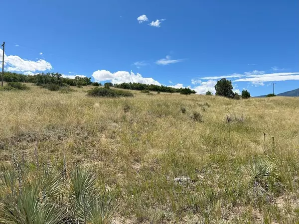 Colorado City, CO 81019,Lot 106 Pinto Dr