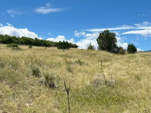 Colorado City, CO 81019,Lot 106 Pinto Dr