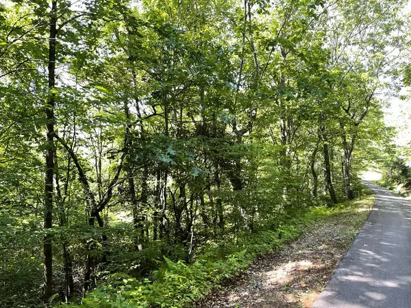 Hiawassee, GA 30546,Lot 32 Big Cove Drive