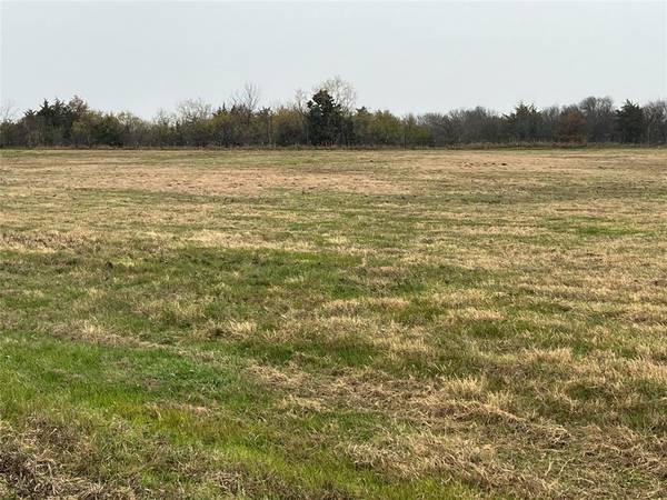 TBD NE County Road 1010 Lot #10, Rice, TX 75155