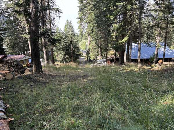 Wallowa Lake, OR 97846,BESKE LN