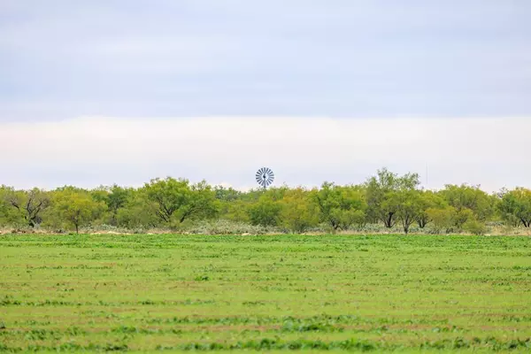 TBD -- County Rd 408, Eldorado, TX 76936