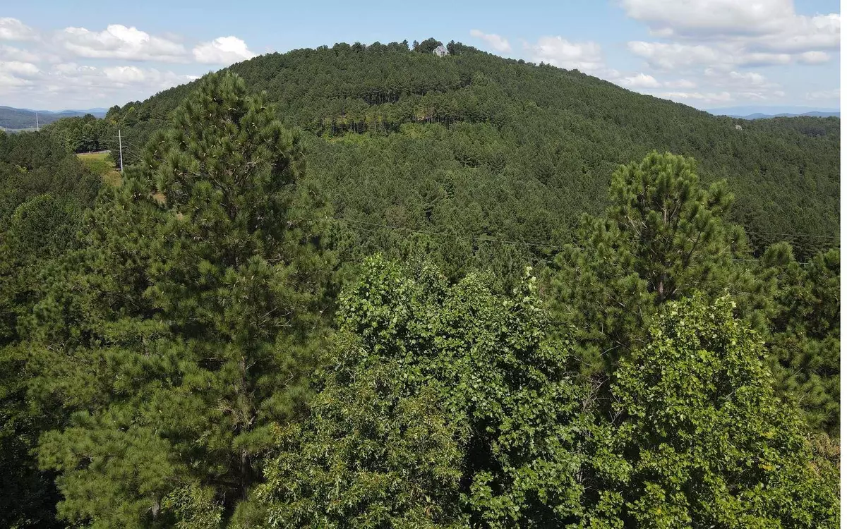 Blairsville, GA 30512,LT 62 Ridge Peak View