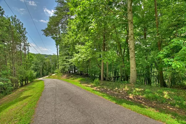 Ellijay, GA 30540,Lot 4 Mountain Trace