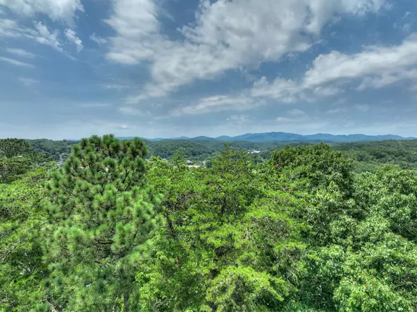 Ellijay, GA 30540,Lot 4 Mountain Trace