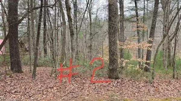 Lot 2 Woods Haven Lane, Stuart, VA 24171