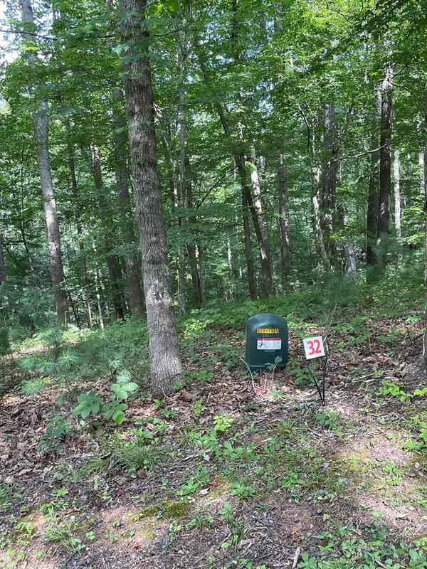 Lot 32 Woods Haven Lane, Stuart, VA 24171