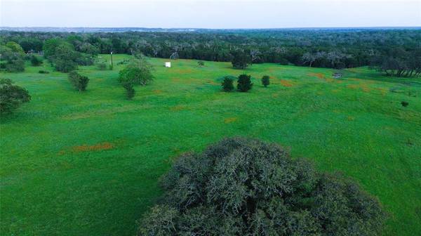 Lampasas, TX 76550,320 S Waterbuck Way