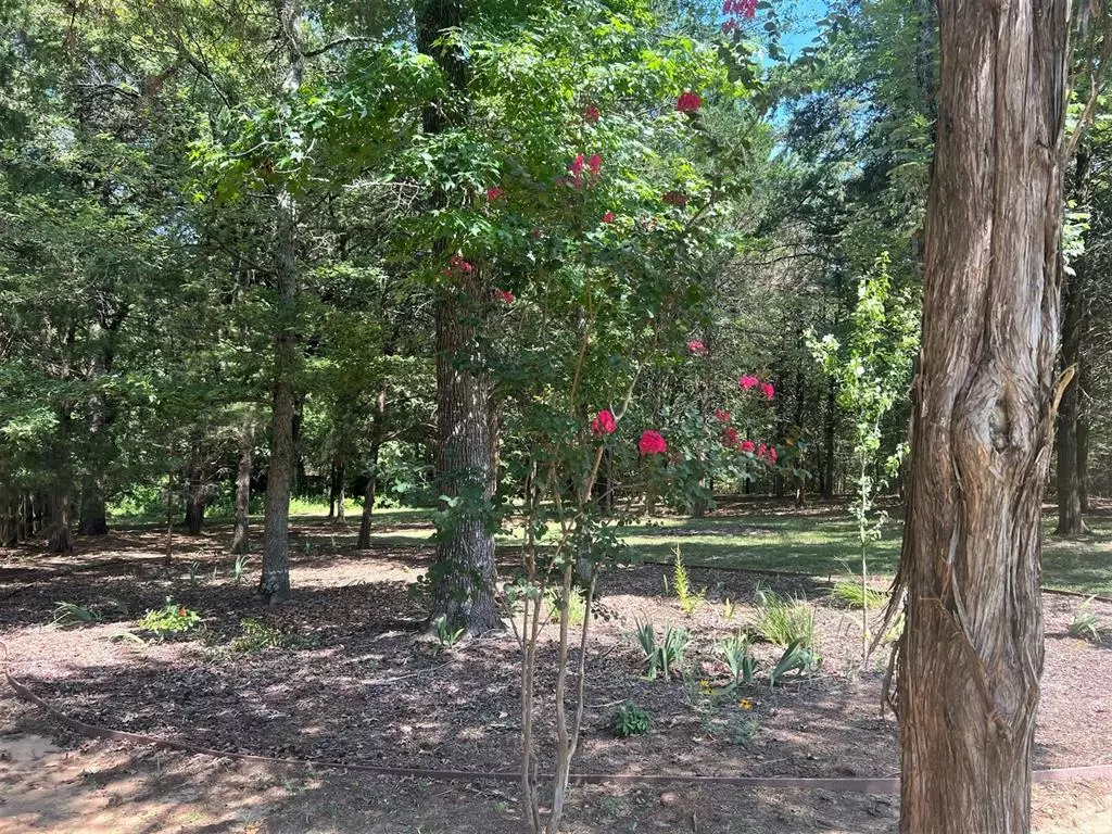 Mineola, TX 75773,Lot 64 CR 2317