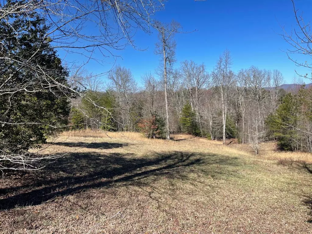 Blairsville, GA 30512,Lot 28 Fox Crossing Subdivision