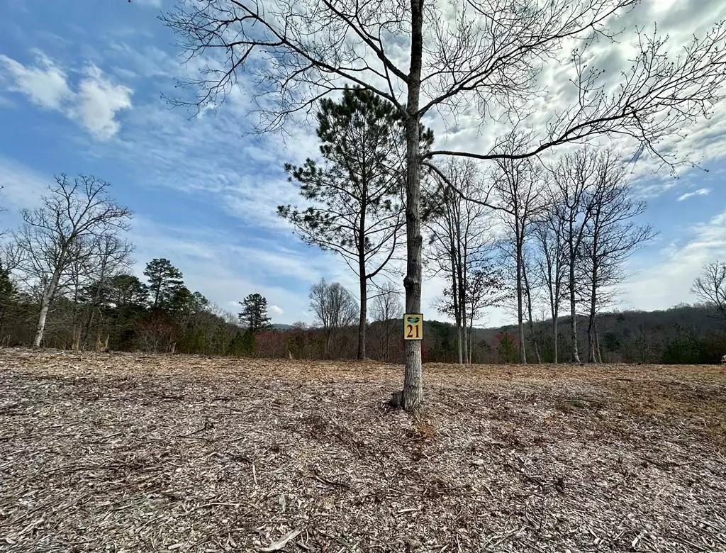 Mineral Bluff, GA 30559,Lot 21 Arbor Creek Trail