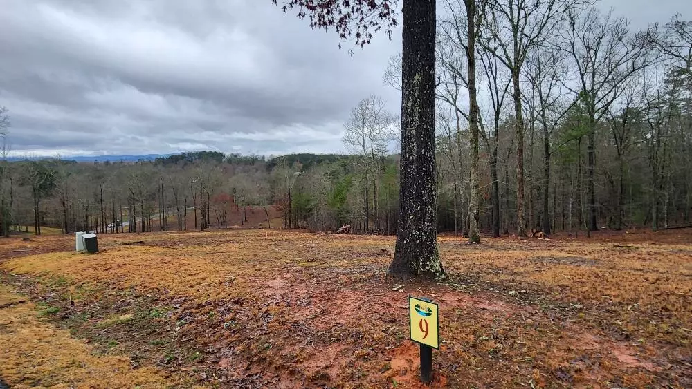 Mineral Bluff, GA 30559,Lot 9 Arbor Creek Trail