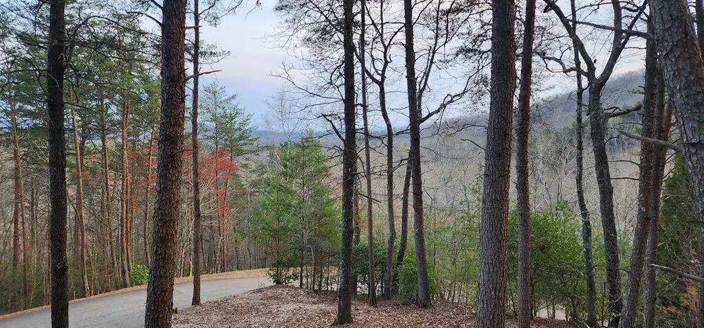 Murphy, NC 28906,34 Wilderness Creek Way