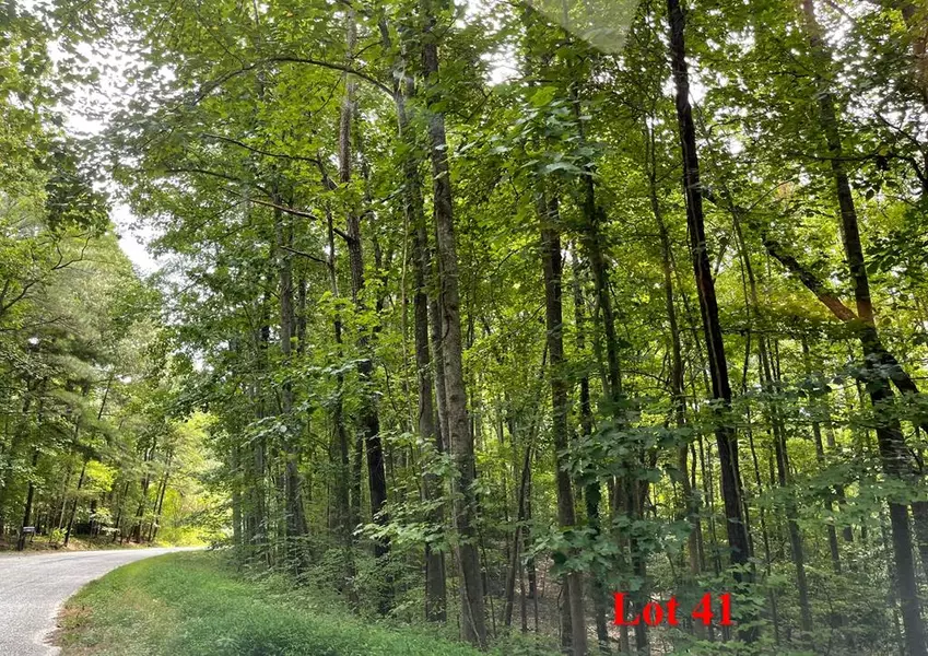 Lot 41 Wicomico DR, Heathsville, VA 22473