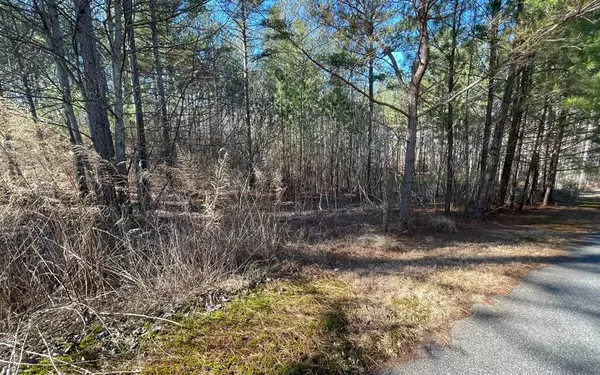 Blairsville, GA 30512,Lot 42 Loftis Mountain