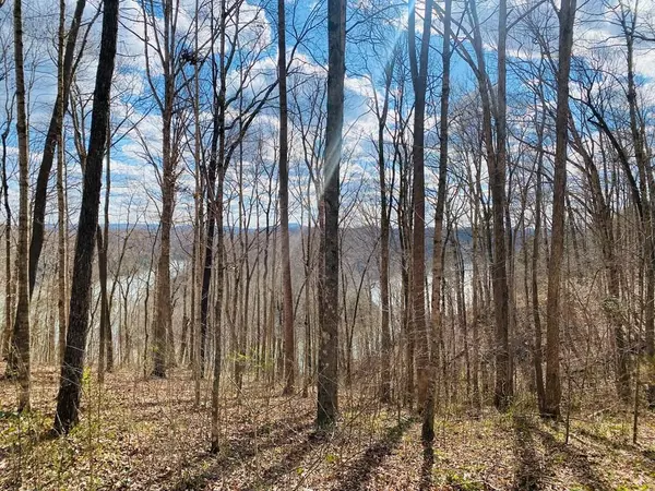 Byrdstown, TN 38549,Lot 114 Faix Rd.