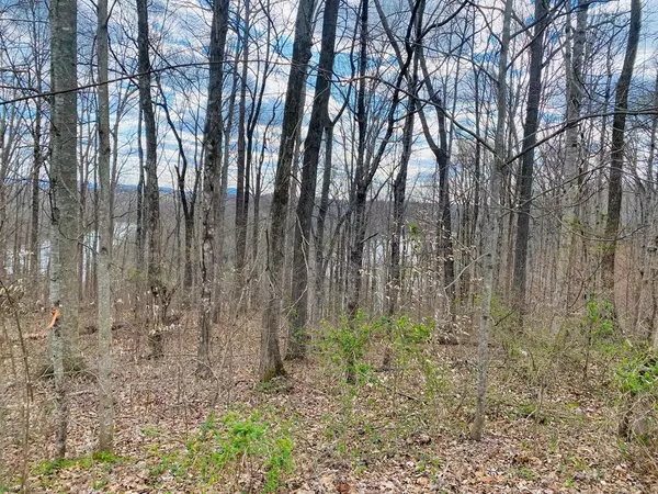 Byrdstown, TN 38549,Lot 114 Faix Rd.