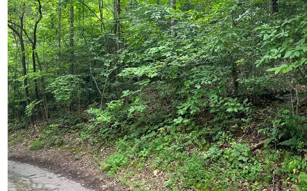 LOT 12 Kilpatrick Point Terrace, Hayesville, NC 28904