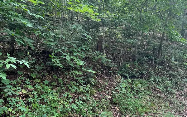 Hayesville, NC 28904,LOT 12 Kilpatrick Point Terrace