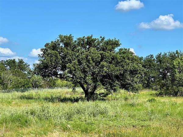 Brookesmith, TX 76827,15795 US-377 S