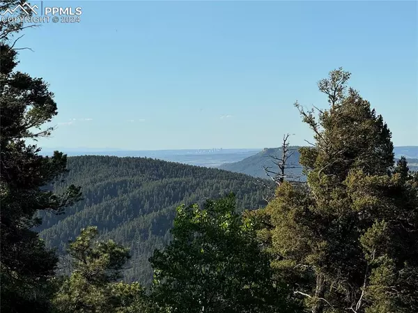 Larkspur, CO 80118,2553 Elk Park RD