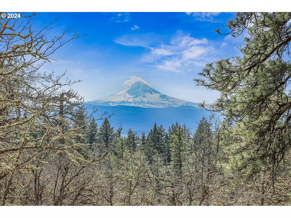 Lyle, WA 98635,Secluded Way #4