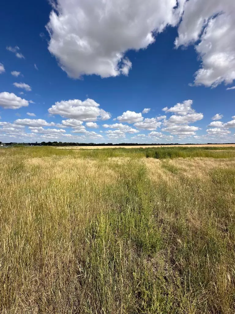 Rural Cypress County, AB T1A0H5,12003 Range Road 60A #Lot 7