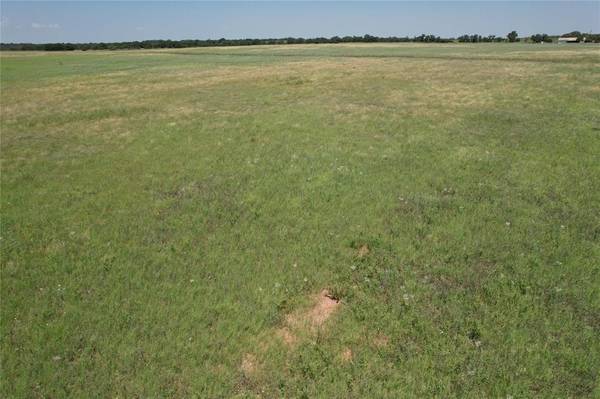 Anson, TX 79501,Lot 4 Blue Lacy Lane