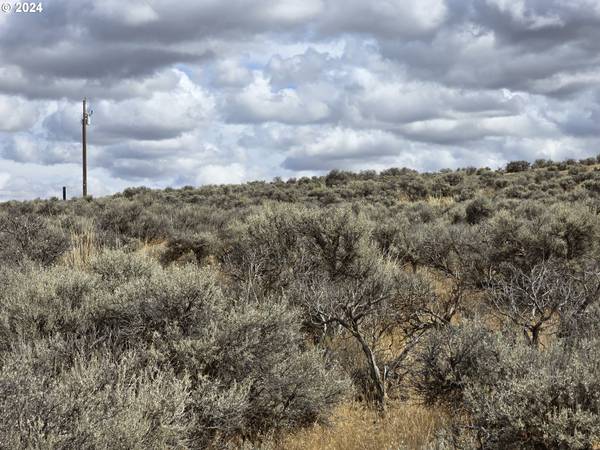 Christmas Valley, OR 97641,Chinook