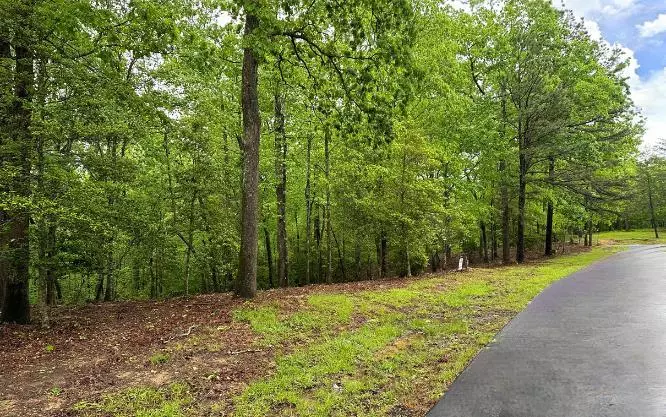 LOT 6 Brasstown Trails, Brasstown, NC 28909