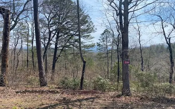 Brasstown, NC 28909,Lot 28 Brasstown Trails