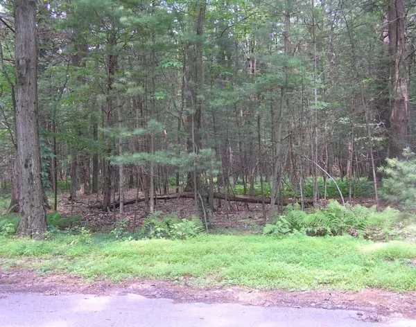 Arbor Road #Lot 5, Towamensing Township, PA 18235