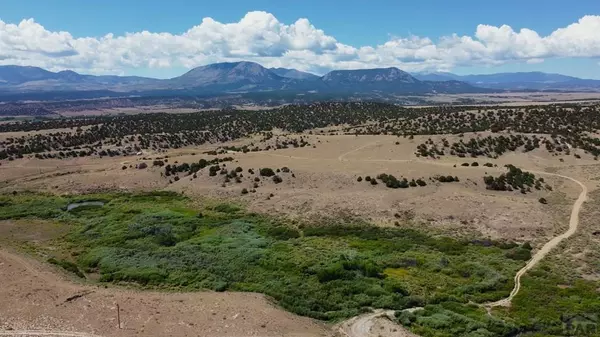 Lot 11 Turkey Creek Ranches, Gardner, CO 81040