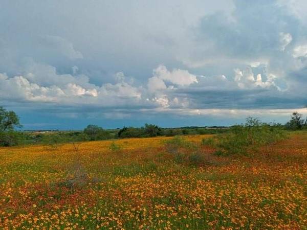 Dublin, TX 76446,372 County Road 349