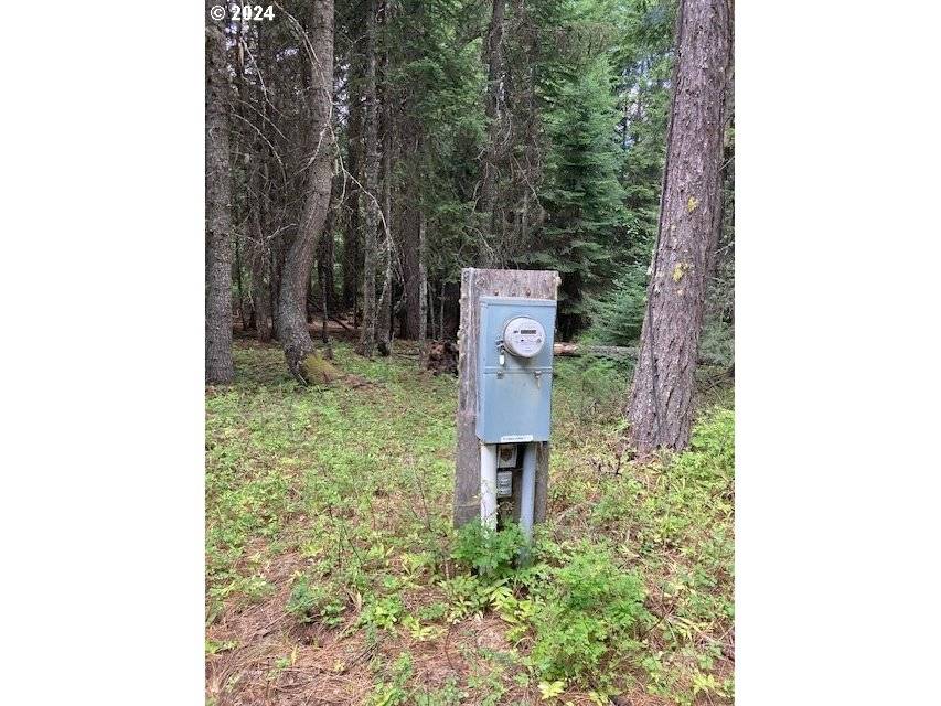 Weston, OR 97886,138028 Black Pine LN
