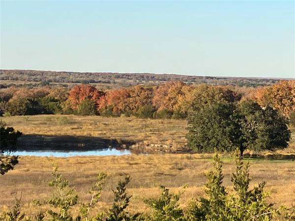 Hico, TX 76457,TBD CR 295 Lot 4