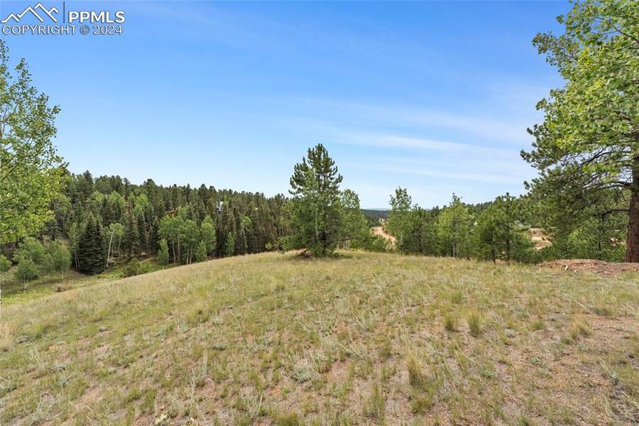 40 Pamona Lake DR, Divide, CO 80814