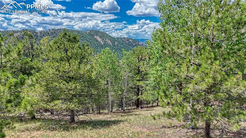 24 Wild Horse CIR, Cripple Creek, CO 80813