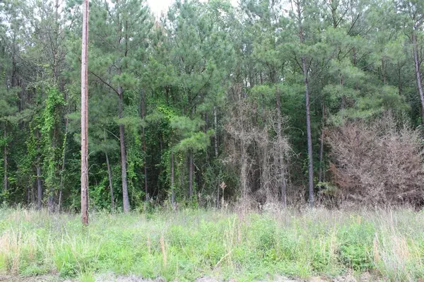 Plain Dealing, LA 71064,0 Mott Road