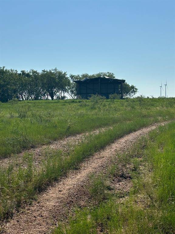 Abilene, TX 79601,Tract 24 CR 105