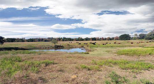 Athens, TX 75752,TBD State Highway 19