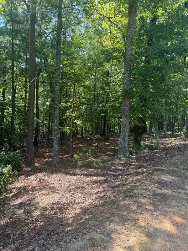 Lot 47 Point Overlook Trail, Murphy, NC 28906